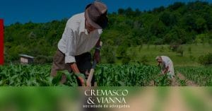 Falta de banheiros e ambiente para descanso de trabalhador rural viola dignidade humana